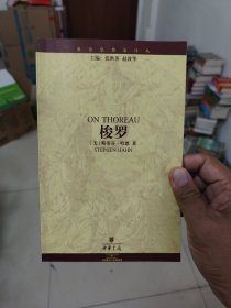 梭罗（世界思想家译丛）