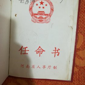 任命书 (1993年)