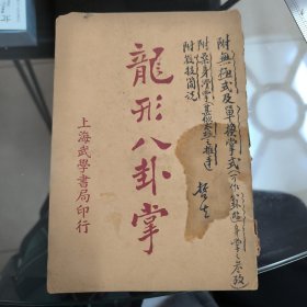 龍形八卦掌（一冊全）