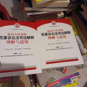 最高人民法院民事诉讼法司法解释理解与适用