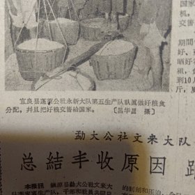 原版老报纸1期：《云南日报》1962年10月20日【有装订孔，品相如图】
西北农学院教授仇元（左），根据陕西关中地区棉花枯萎病等的发生規律，研究出一种快速測定棉花菌毒的方法。图为他在指导研究生段应科作棉花枯萎病接种試験。〔新华社稿〕唐謙信 摄
宜良县蓬萊公社永新大队第五生产队队眞做好粮食分配，并且把好粮交售耠国家。[吕华昌摄]