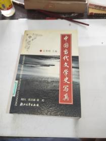 中国当代文学史写真 中