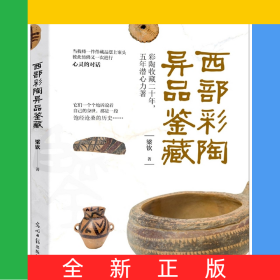 西部彩陶異品鑒藏