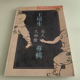 中华武术大观 (六) 王培生 吴式太極槍 专辑