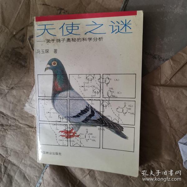 天使之谜:关于鸽子奥秘的科学分析