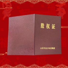 九十年代北京合信电力集团股权证
