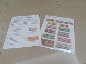 老票证展览集一部，常规邮集尺寸，16贴片，随时可以上框展出的成品