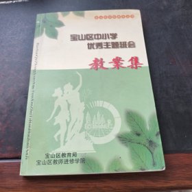 宝山区中小学优秀主题班会 教案集