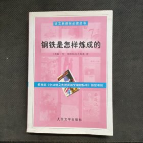 钢铁是怎样炼成的