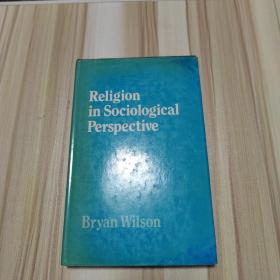 Religion in sociological perspective宗教和社会学