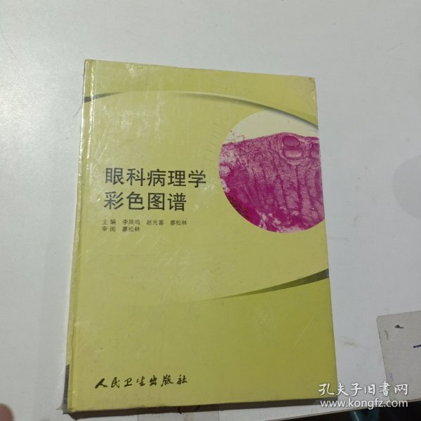 眼科病理学彩色图谱