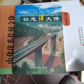壮志铸大保