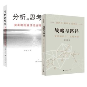 战略与路径+分析与思考