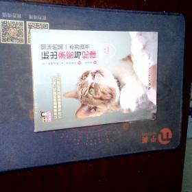 猫咪的第一本游戏书玩出亲密与纪律