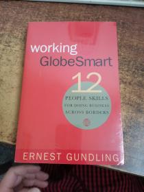 Working Globesmart: Twelve People Skills for Doing Business Across Borders