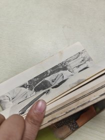 山口百惠和三浦友和1