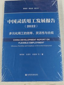 中国灵活用工发展报告（2022）多元化用工的效率、灵活性与合规