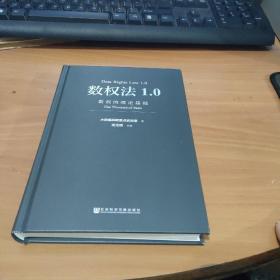 数权法1.0：数权的理论基础 实物拍照 货号8-3D