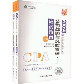 公司战略与风险管理应试指南 2023(全2册) 经济考试 作者