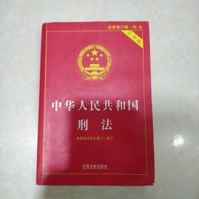 中华人民共和国刑法（实用版） 根据刑法修正案十一修订