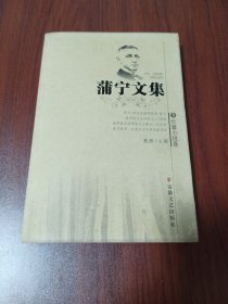 蒲宁文集5 长篇小说卷