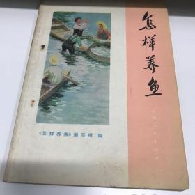 怎样养鱼 1975年一印九品B4四区