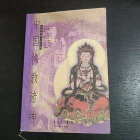 中国佛教诸神：中国神祗文化全书 包邮
