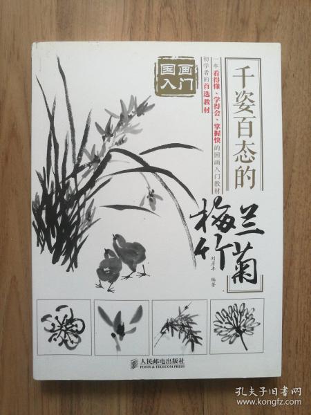 国画入门 千姿百态的梅兰竹菊