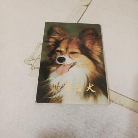 世界名犬 明信片（全10张）