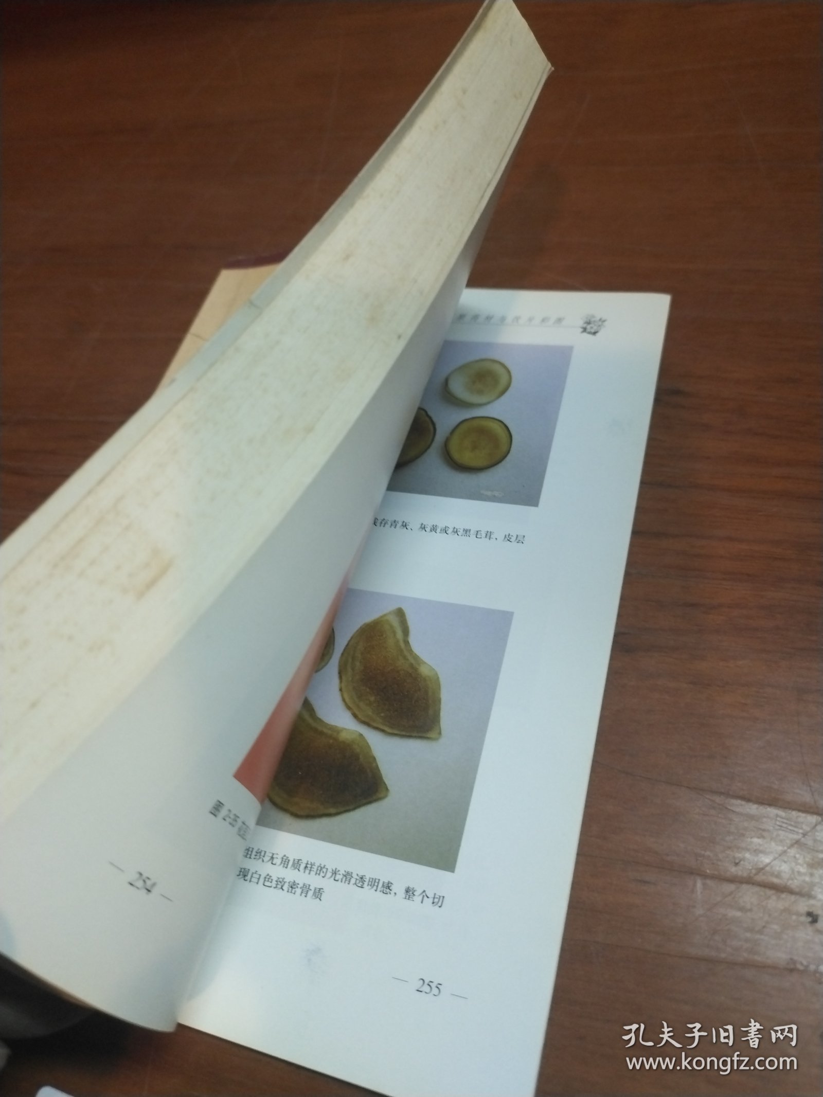 抗衰老保健中药小百科