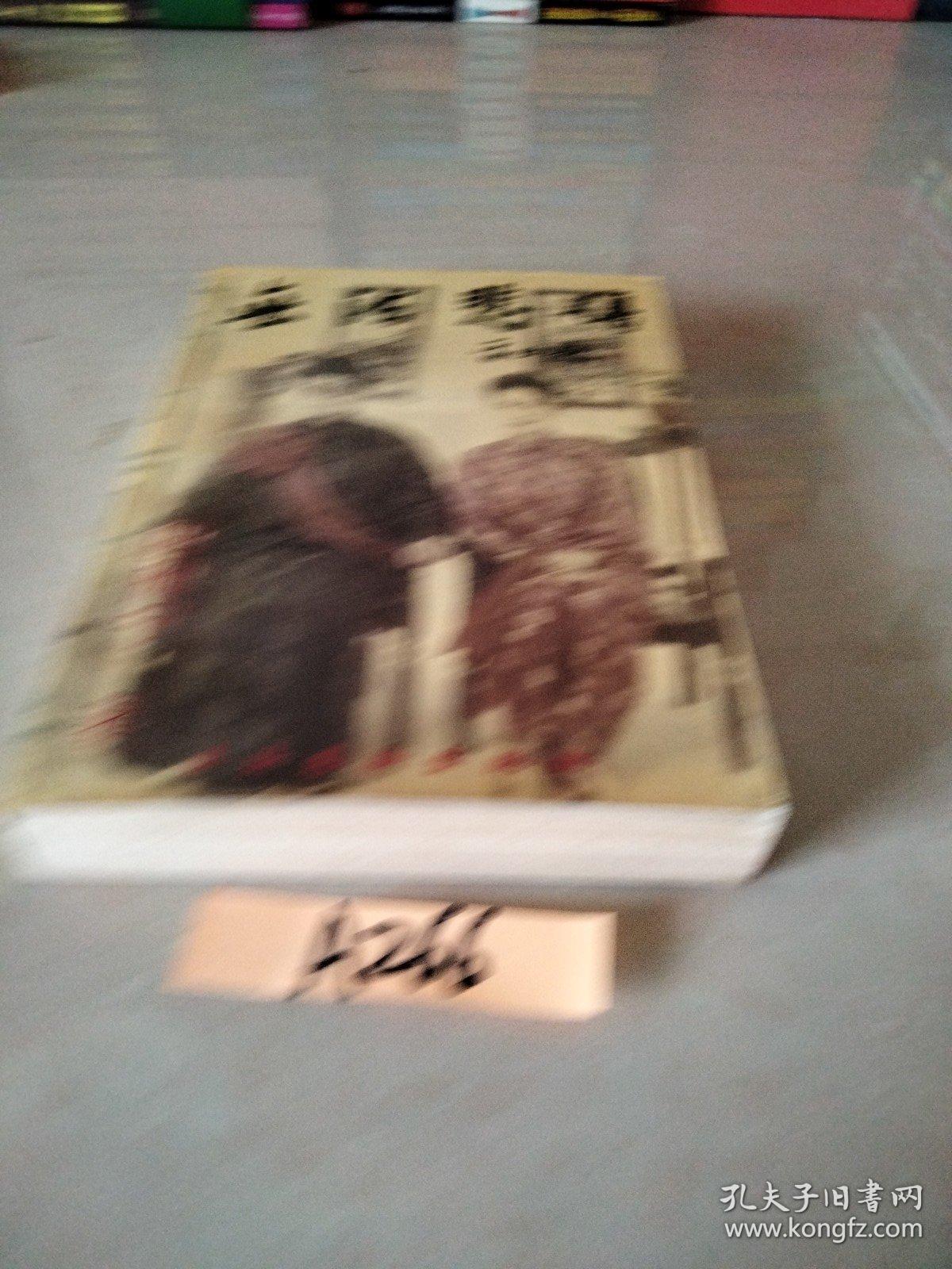 田雁宁文集.第四卷.无法悲伤
