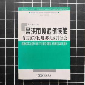 景洪市嘎洒镇傣族语言文字使用现状及其演变