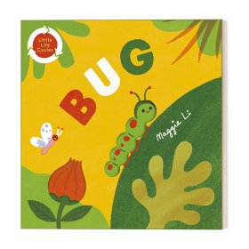 英文原版 Little Life Cycles: Bug 生命周期：小虫子 纸板书 英文版 进口英语原版书籍