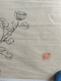 约民国时期老画稿4张，线描花卉，无款有印章不识，每张尺寸60x20厘米 包老保真包手绘