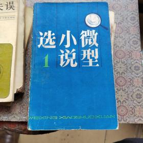 绝妙人生之旅丶雪花笺丶暗房制作丶年轻的思绪丶机遇加拼搏丶一个国籍的女人丶微型小说选丶父母的失误丶李小龙丶京华小品（共10本）