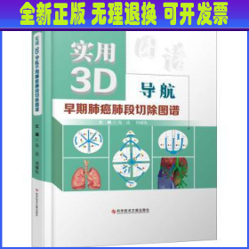 实用3D导航早期肺癌肺段切除图谱