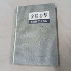 金陵春梦（七）