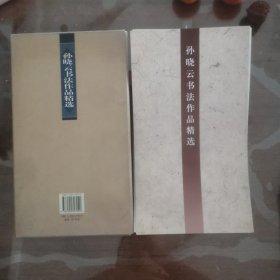 孙晓云书法作品精选（活页 30张全）