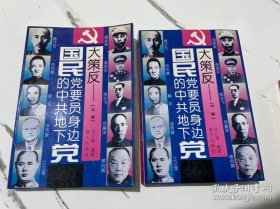 大策反:国民党要员身边的中共地下党（上卷、下卷）