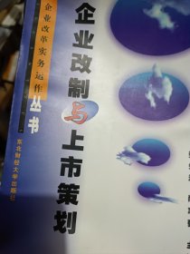 企业改制与上市策划