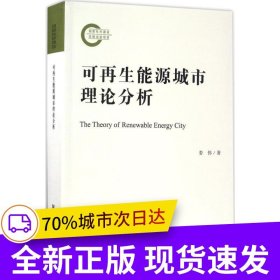 可再生能源城市理論分析