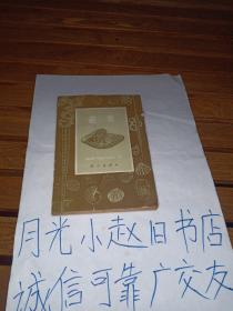 䗴类
