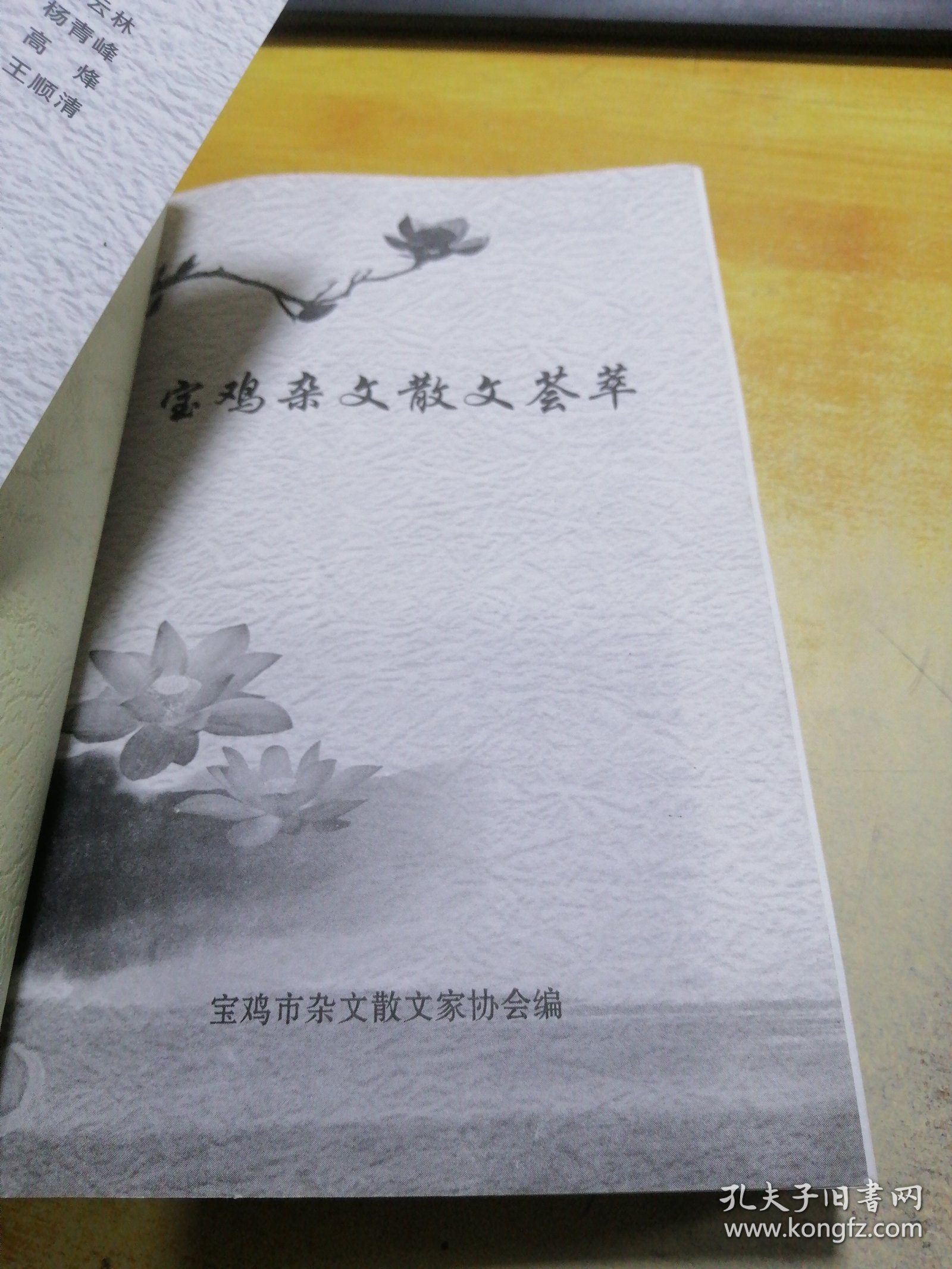 宝记杂文散文荟萃