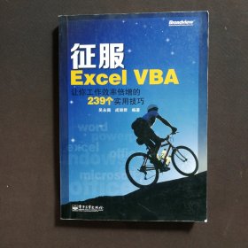 征服Excel VBA：让你工作效率倍增的239个实用技巧