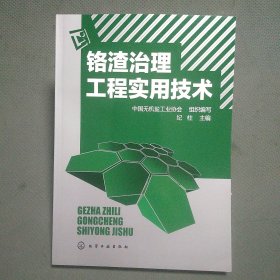 铬渣治理工程实用技术