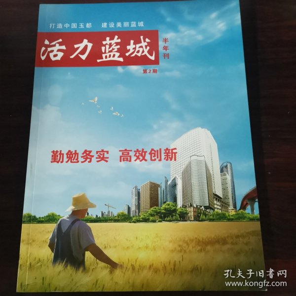 活力蓝城 半年刊 第2期 打造中国玉都 建设美丽蓝城