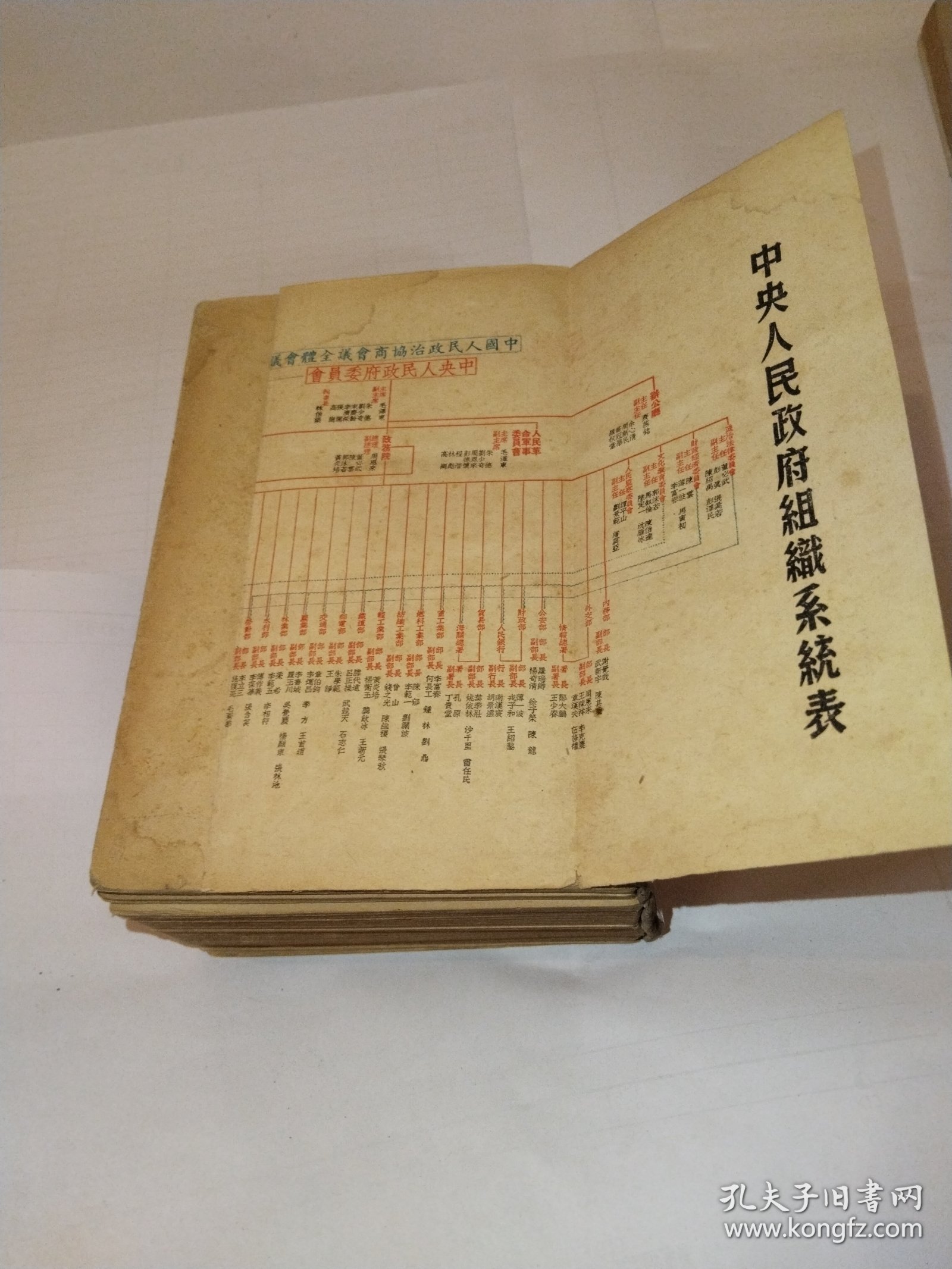 国际之部等9类