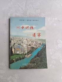 川中明珠 ——遂宁