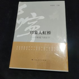 印象大虹桥