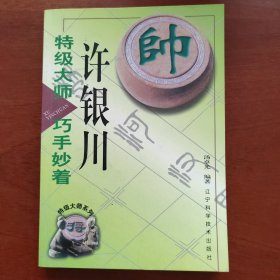 特级大师许银川巧手妙着